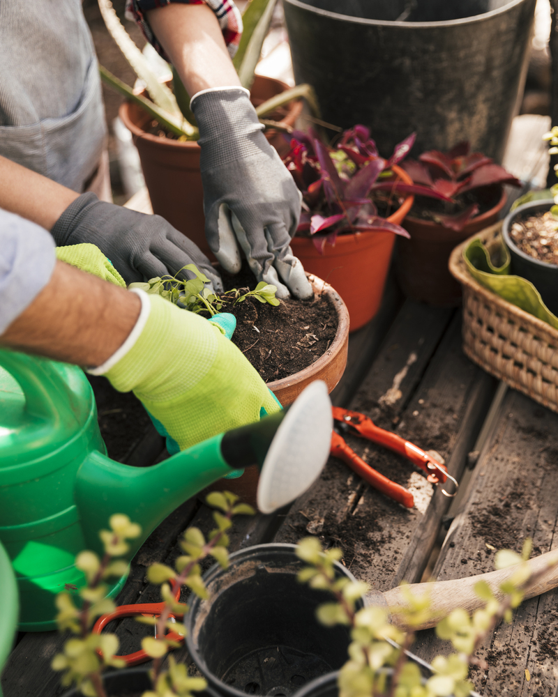 services jardin